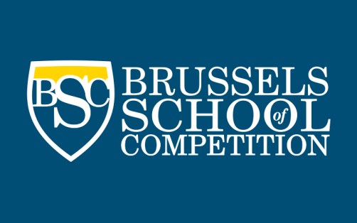 Image result for brussels school of competition
